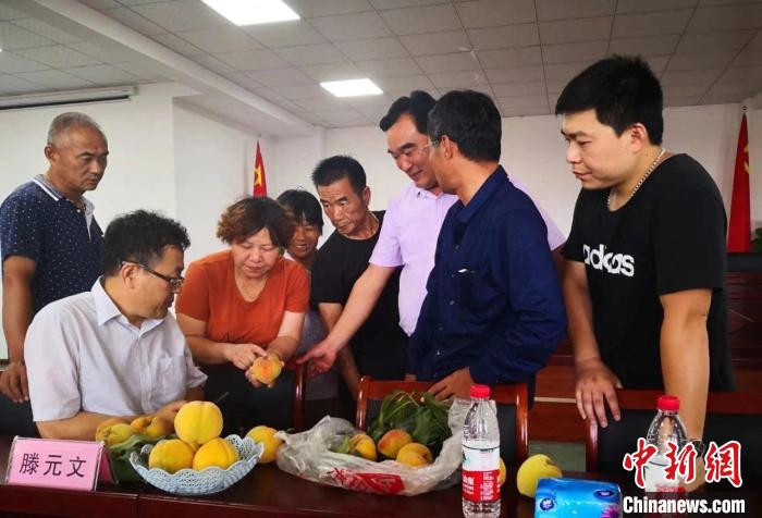 民進(jìn)浙江省委會(huì)為三里橋黃桃種植戶送技術(shù)、送指導(dǎo)。　嘉善統(tǒng)戰(zhàn) 供圖