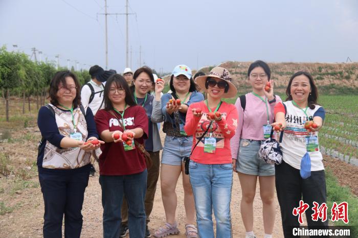 圖為臺(tái)胞體驗(yàn)大美內(nèi)蒙古。　托婭供圖