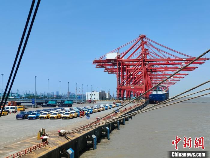 資料圖：國產(chǎn)新能源車在上海外高橋港區(qū)海通碼頭“整裝待發(fā)”。　浦帆 攝
