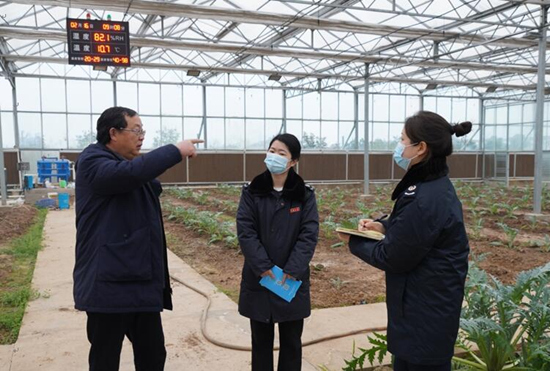 稅務干部走進常德市西洞庭管理區的朝鮮薊種植基地，宣傳稅費優惠政策，助力農企搶農時、抓春耕、穩增長。吳家豪攝