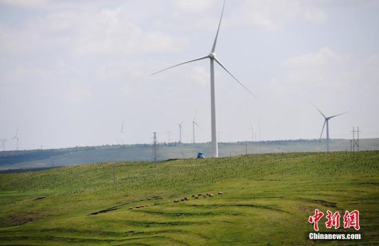 6月28日，河北張家口張北草原上大片風力發電的“風車”規模宏大。 中新社記者 楊艷敏 攝