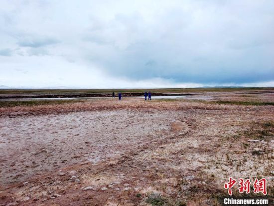 圖為救援力量在青海省西部搜救失聯的江蘇南京某大學女生黃某某。海西州藍天應急救援中心 供圖