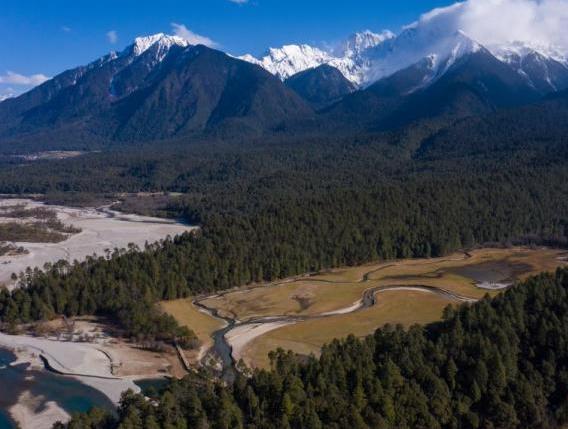 資料圖：西藏崗云杉林與遠處的雪峰。 何蓬磊 攝