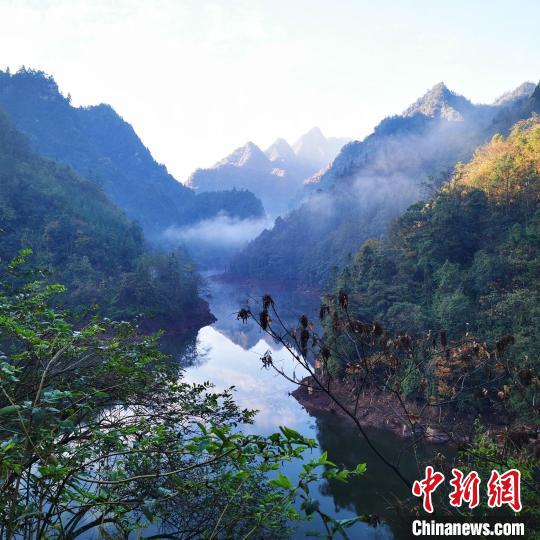 黃荊老林自然保護中心成立探索生態保護與社區經濟發展平衡