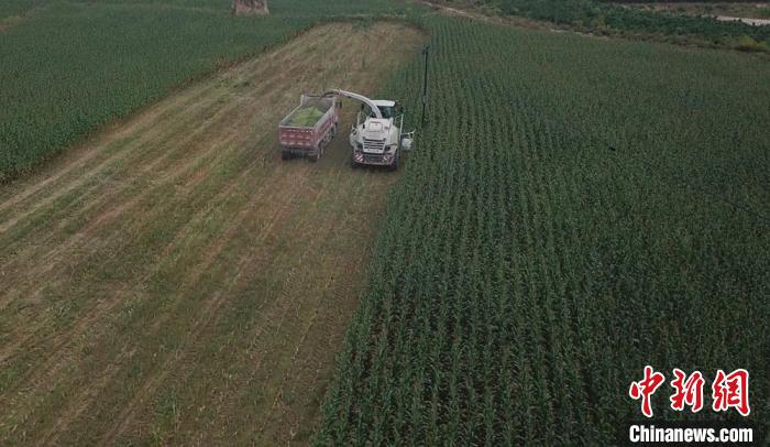 甘肅盤國土資源“家底”以成果為基數守耕地保護“紅線”