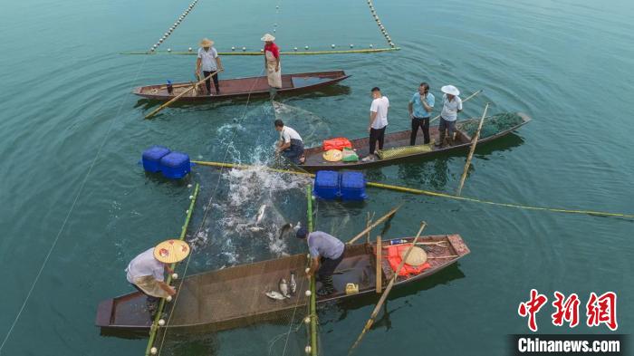 捕魚(yú)現(xiàn)場(chǎng)。　主辦方供圖