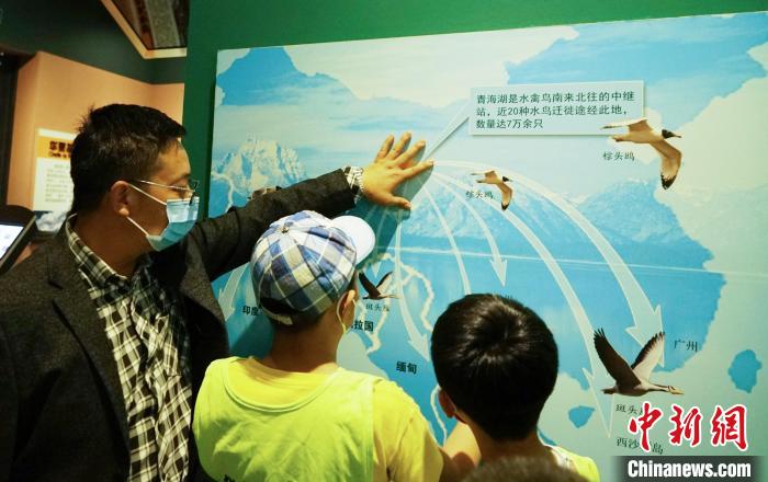 圖為小朋友在青海西寧湟水國家濕地公園科普館內參觀學習。　馬銘言 攝