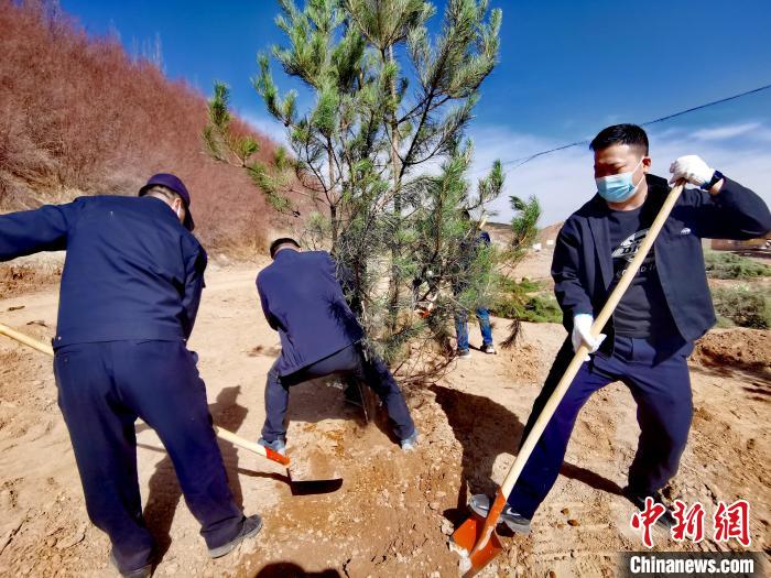 圖為西寧市城東區(qū)義務(wù)植樹活動現(xiàn)場。　張?zhí)砀?攝