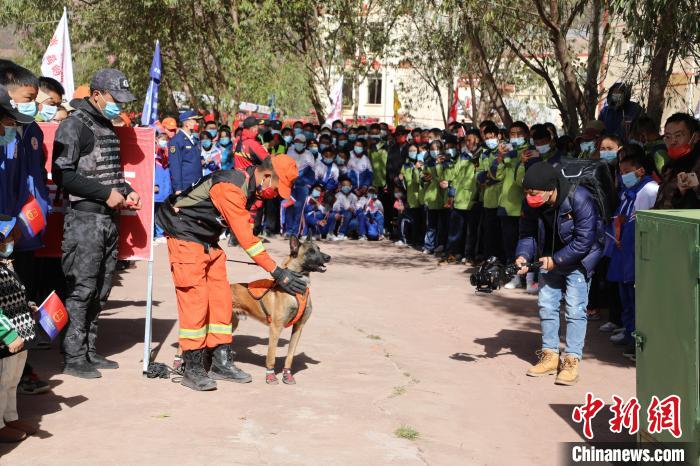 圖為搜救犬服從和箱體搜救演練?！≮w琳 攝