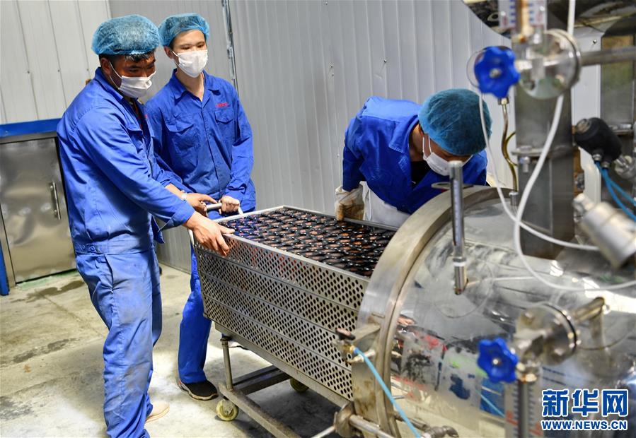 （走向我們的小康生活）（5）西藏朗縣：發展辣椒產業 助力脫貧攻堅