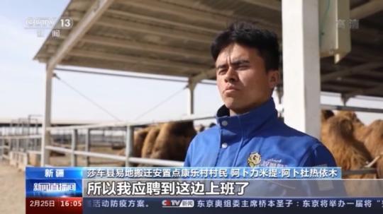 種蘑菇、養駱駝...。。特色產業助力鄉村振興走新路