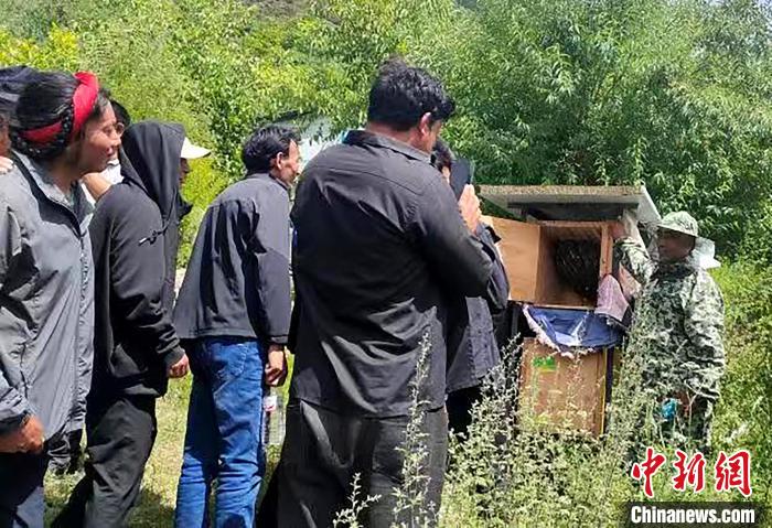 拉久西村村民學(xué)習(xí)養(yǎng)蜂工作流程和防范事項。　昌都市芒康縣委宣傳部供圖