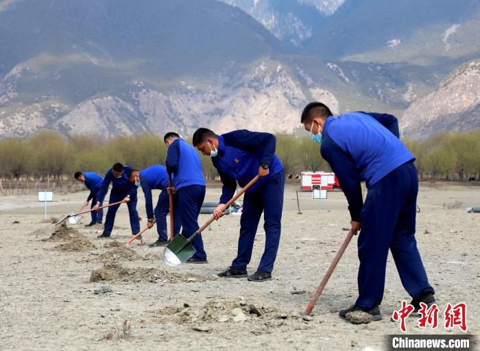 林芝市巴宜區(qū)森林消防中隊志愿服務隊正在揮鍬鏟土。　西繞拉翁 攝