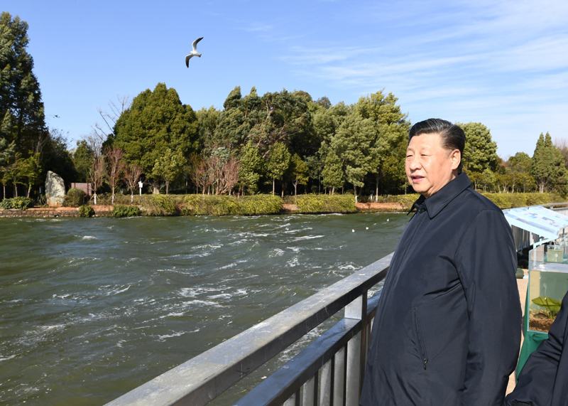 2020年1月20日下午，習近平總書記在云南昆明滇池星海半島生態濕地考察調研。