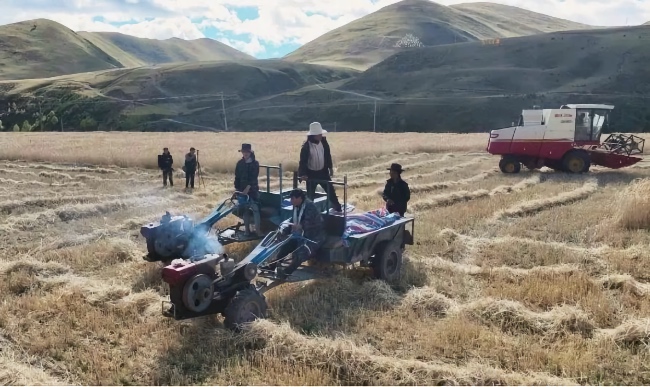 秋收現場。雅江縣委宣傳部供圖