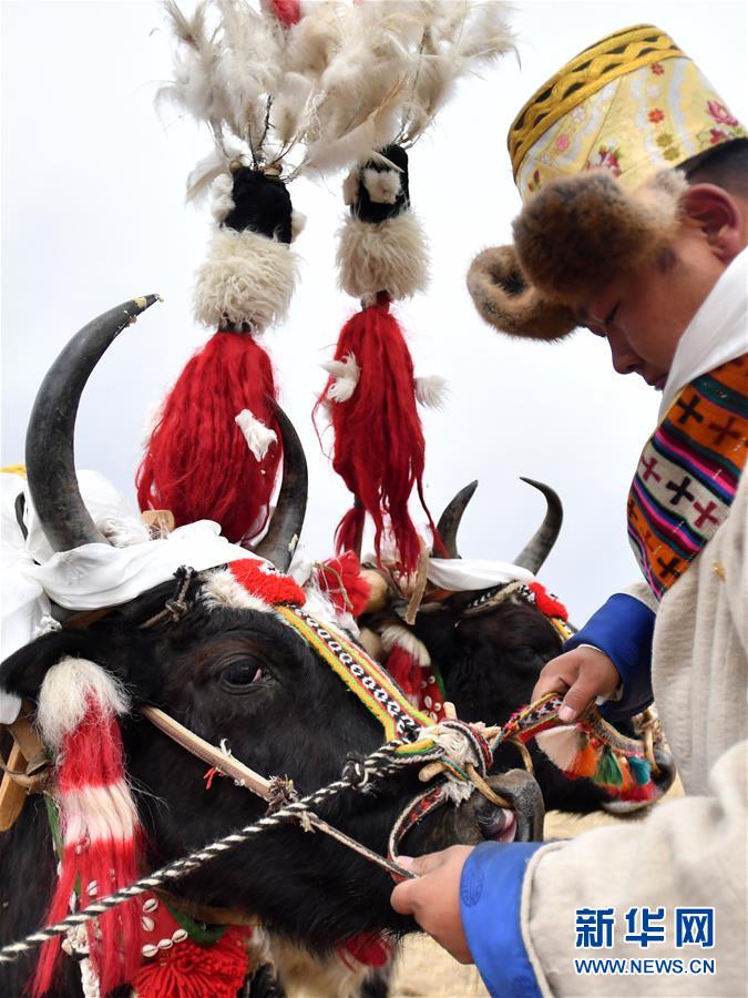 （經濟）（2）西藏：春耕第一犁